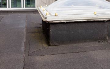 disadvantages of Northtown flat roofs