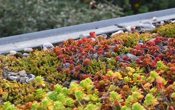 the cost of Northtown green roof installation