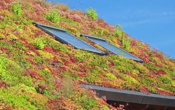 Northtown living roof systems